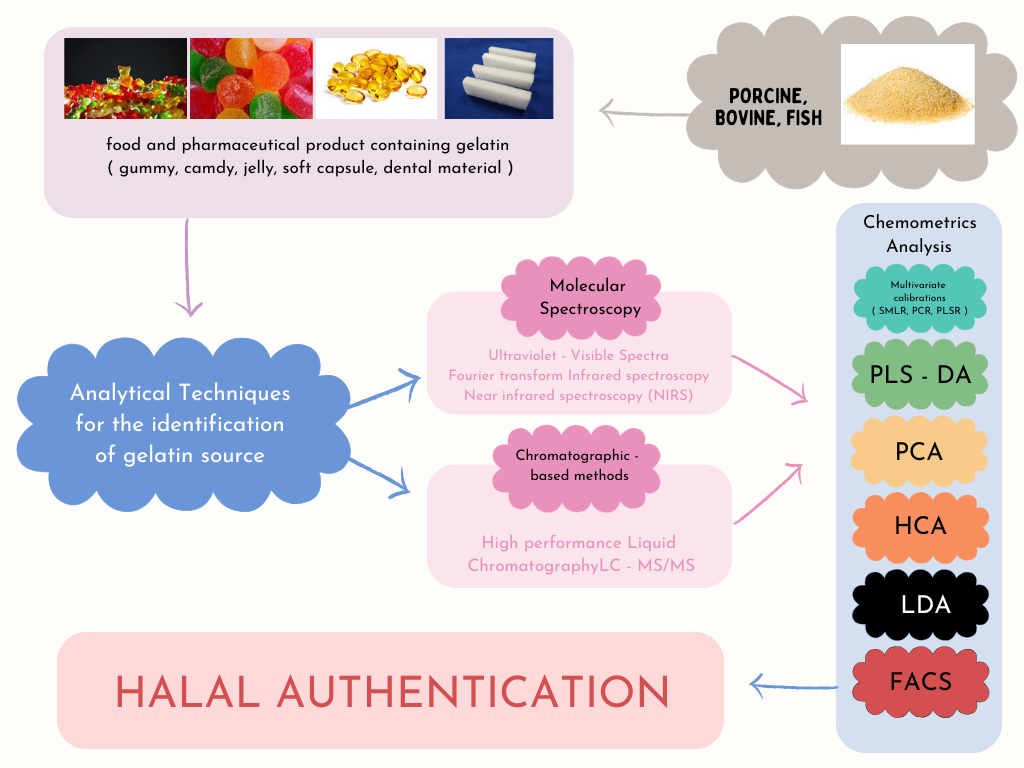 Graphical Abstract